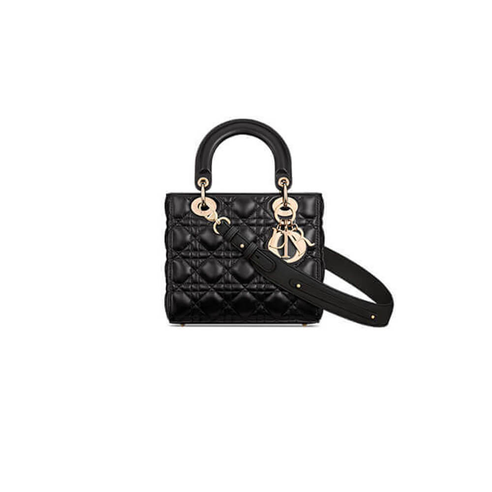 small lady D*or my abcD*or bag