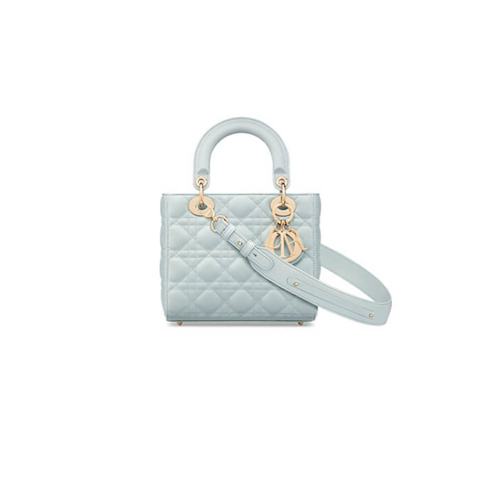 small lady D*or my abcD*or bag