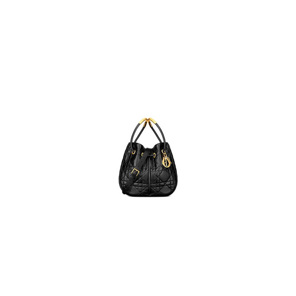 medium D*or nolita bag