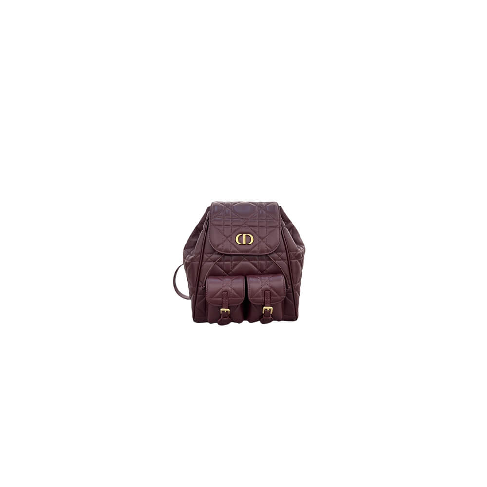 medium D*or caro backpack(high-end grade)
